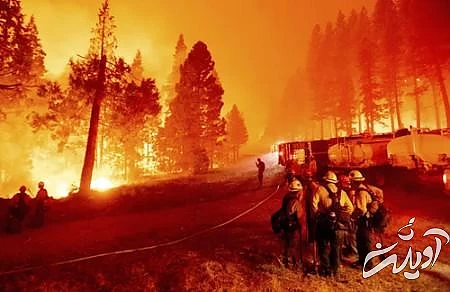 عکسهای جالب,عکسهای جذاب,آتش سوزی های جنگلی 